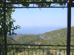 View from front balcony