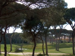 Golf course