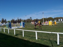 Horseriding