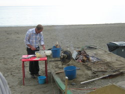 Fresh sardines on the beach