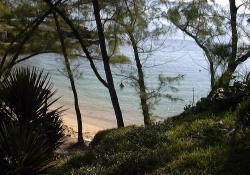 main beach cove