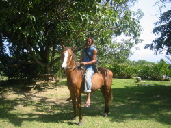 horseback rides to  waterfalls and beach