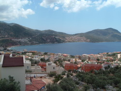 View from terrace