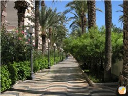Alicante
