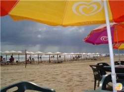 Local Beach
