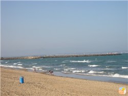 Local Beach