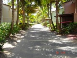 Street