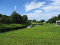 Canal with lots of wildlife