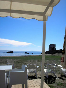Local Beach Bar