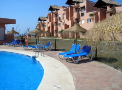 Sun Loungers Round the Pool