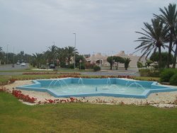 View of the area