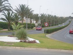 View of the area