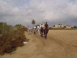 Horse Riding in El campo