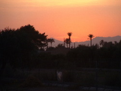 Enjoy the sunsets
