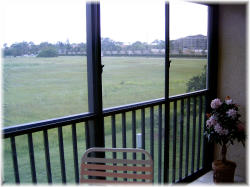 Lanai / Screened Porch