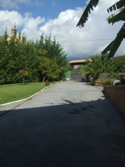 part of the garden