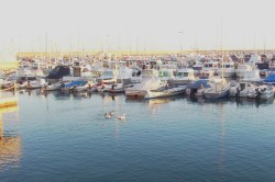 The Marina in nearby Torrevieja