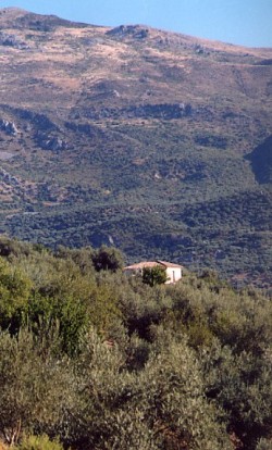 mountain view