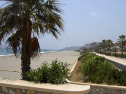 Favorite beach