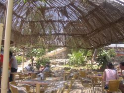 Our favorite beach bar Tito's