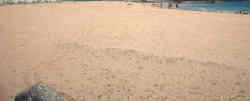 Caleta beach