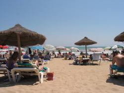 Hit the beach