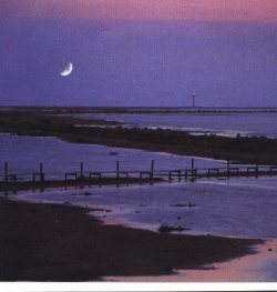 The Ebro Delta by night