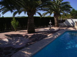 garden and swimming pool