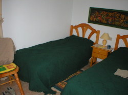 The downstairs twin bedroom.