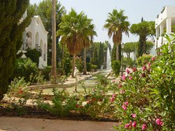 The extensive and beautiful water garden