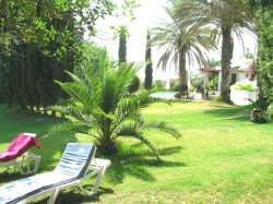 View of Pool from Garden