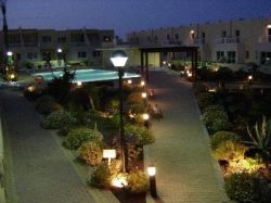 Gardens By Night