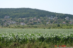 view looking up to the village from main
