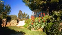 Gardens