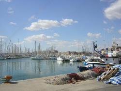 The Harbour