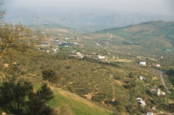THIS IS THE SCENERY