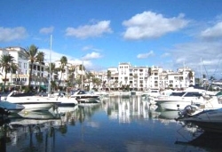 Lively Marina area