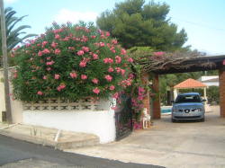 View towards side of house
