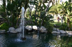 One of sevral fountains