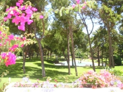 Stunning garden settings