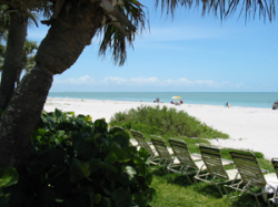 complementary beach lounges