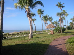 Path to the beach