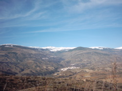 sierra nevada