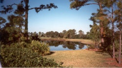View of the Lake