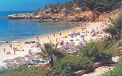 Another Local Beach