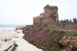 Local beach - 10 mins walk
