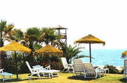 Costalita Beach Bar and Restaurant