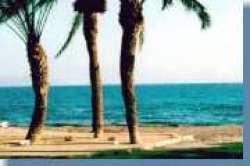 Only 100 metres from the beach