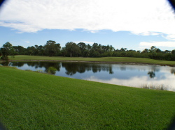 Beautiful lake view