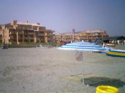 A day at the beach